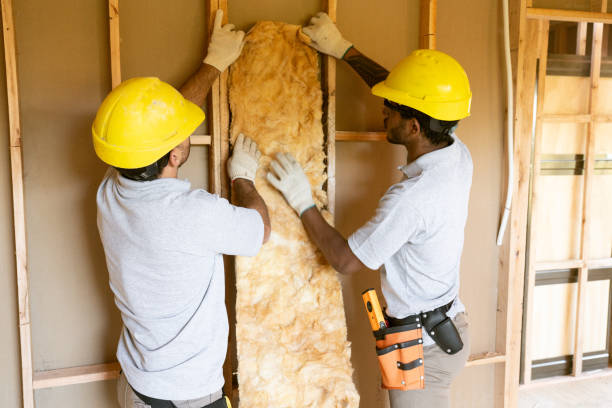 Best Insulation for Existing Homes  in West Point, KY